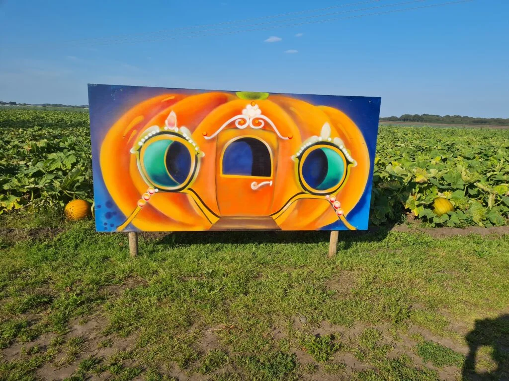 holmeswood flower farm holmeswood pumpkin place