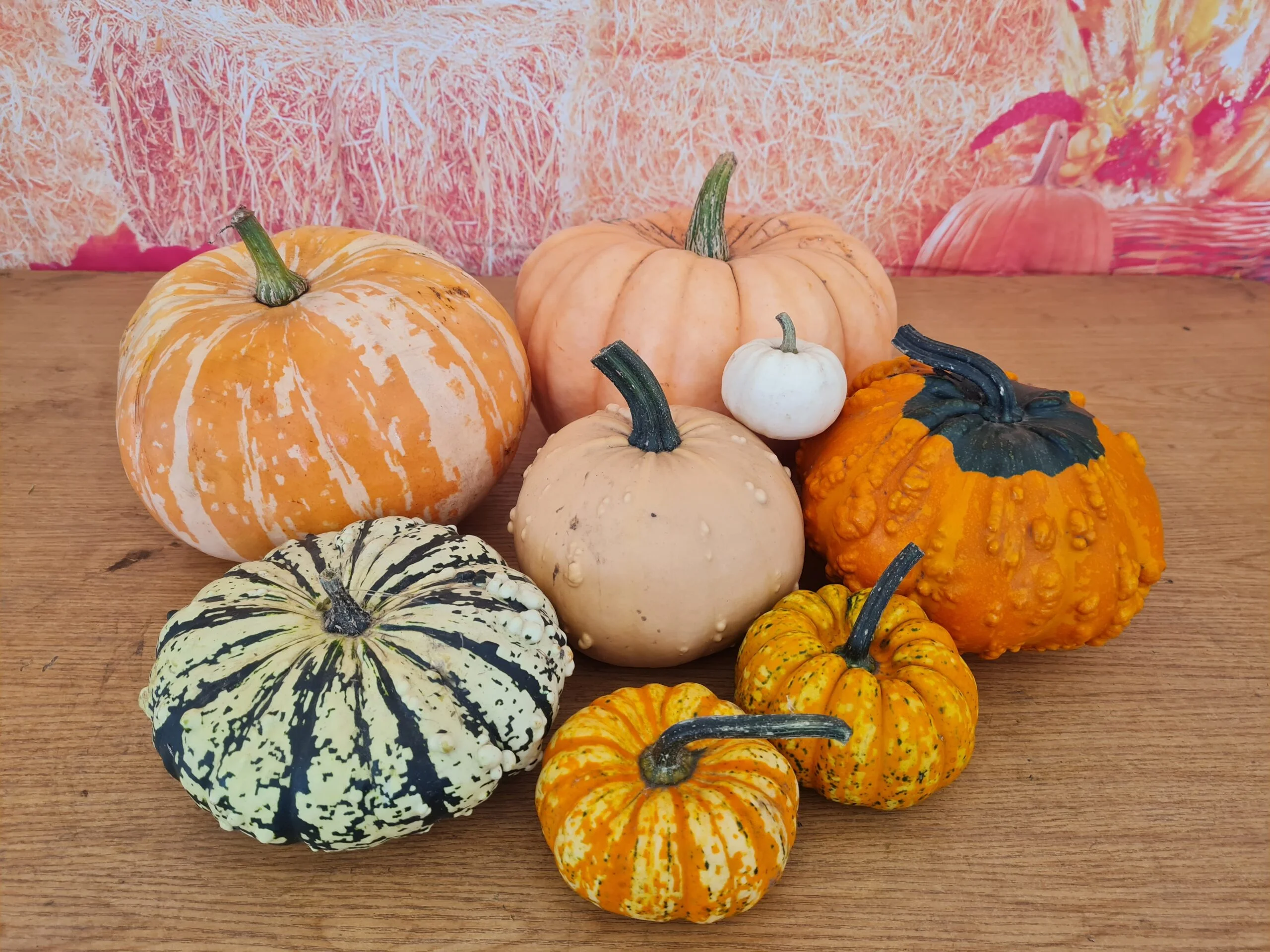 holmeswood flower farm holmeswood pumpkin place