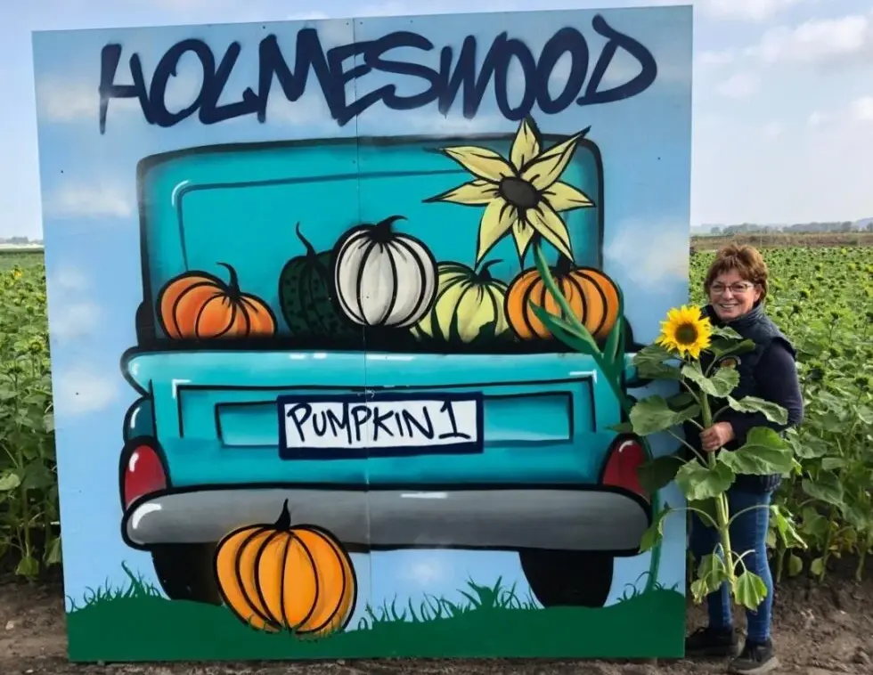 holmeswood flower farm holmeswood pumpkin place
